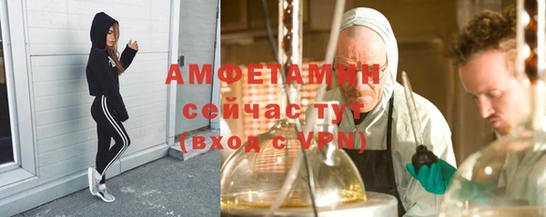 сатива Елизово