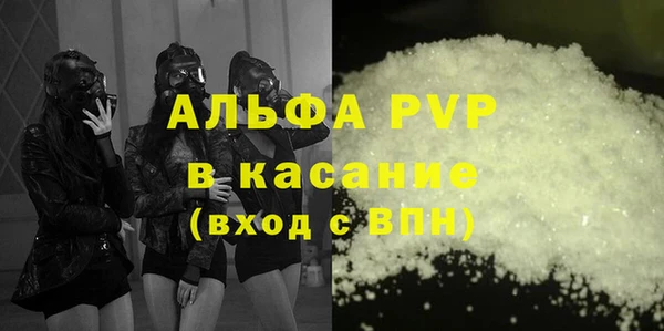 крисы Ельня