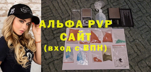 крисы Ельня