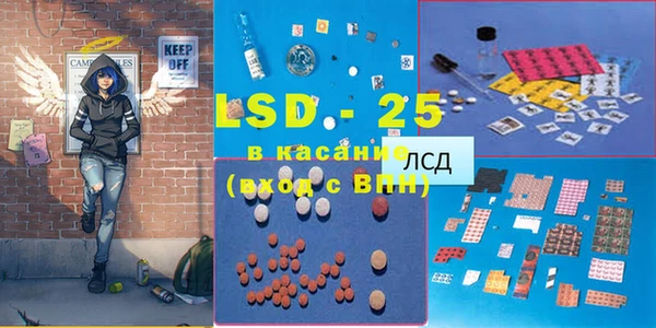 крисы Ельня