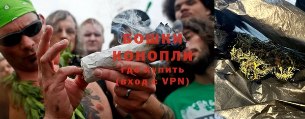 крисы Ельня