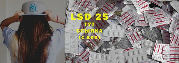 крисы Ельня