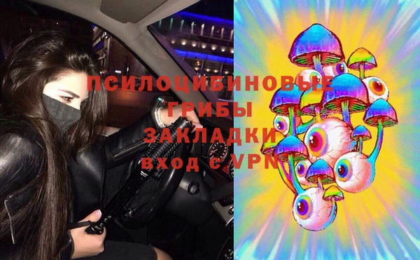 сатива Елизово